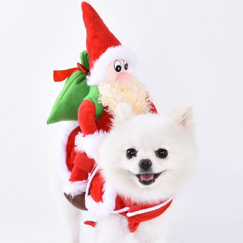 Funny Dog Costume with Novelty Holiday Designs and Adjustable Closures Halloween - Image 3