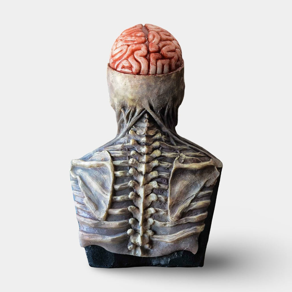 Halloween Skeleton Bust Garage Door Cover with Exposed Brain Detail for Spooky Party Decoration - Image 2