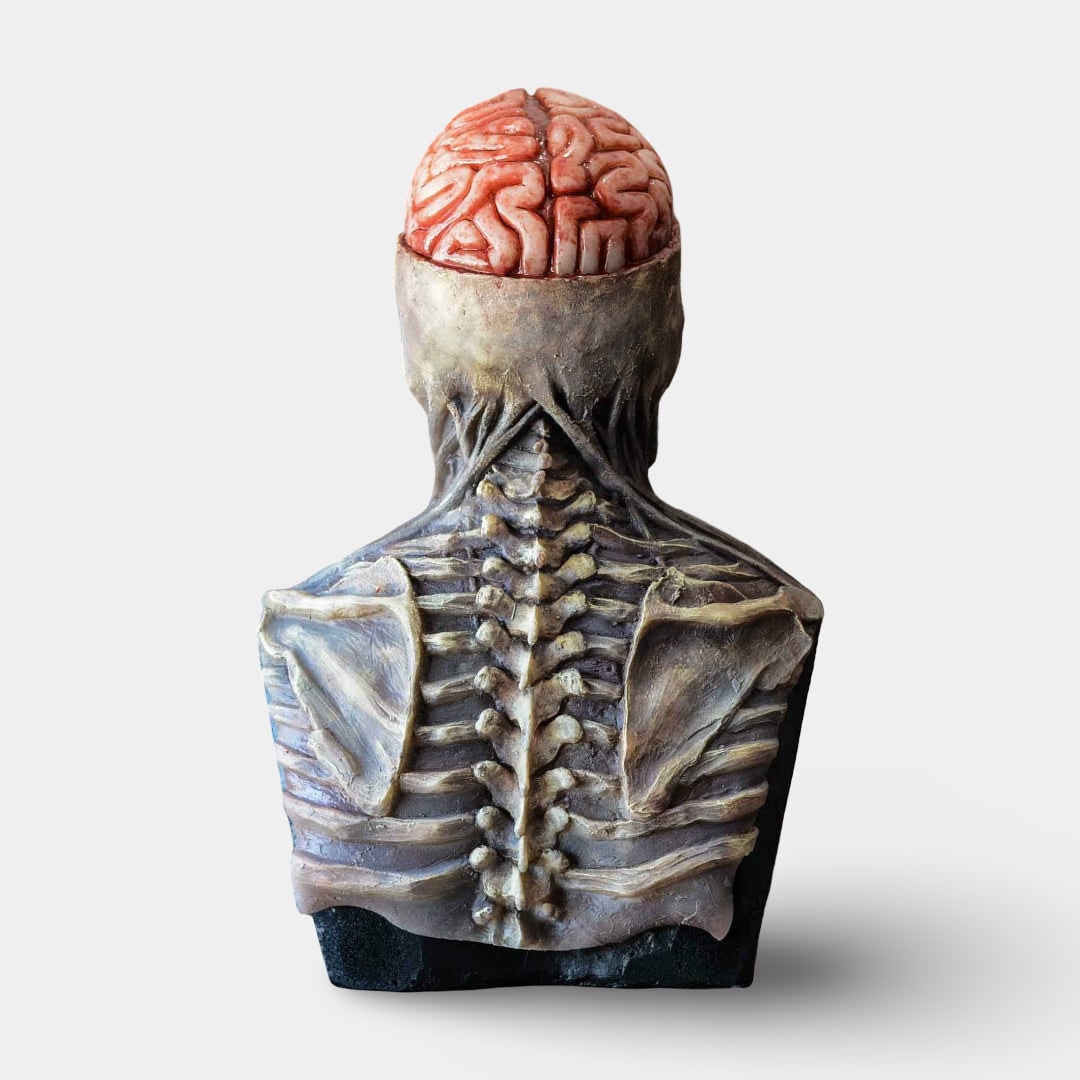 Halloween Skeleton Bust Garage Door Cover with Exposed Brain Detail for Spooky Party Decoration - Image 2