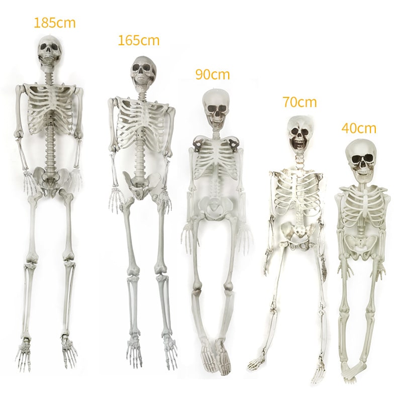 Halloween Skeleton Decoration and Garage Door Cover Posable Plastic Prop 12 Foot Tall - Image 3