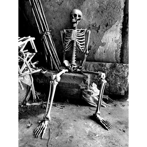 Halloween Skeleton Decoration and Garage Door Cover Posable Plastic Prop 12 Foot Tall - Image 4