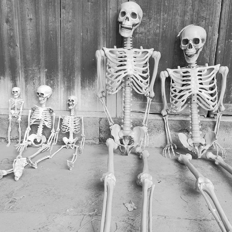 Halloween Skeleton Decoration and Garage Door Cover Posable Plastic Prop 12 Foot Tall - Image 5