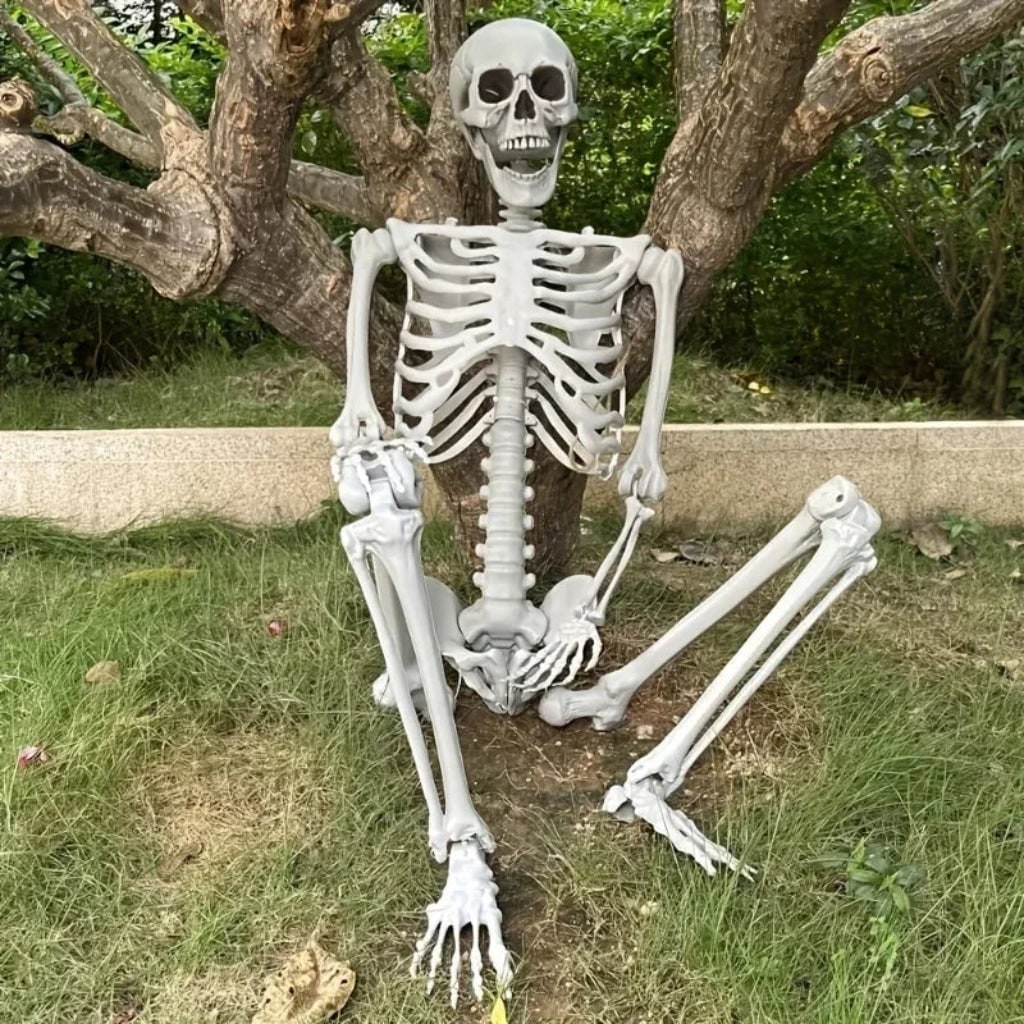 Halloween Skeleton Decoration Life Size Poseable Articulated Prop for Outdoor Yard and Party Display - Image 2