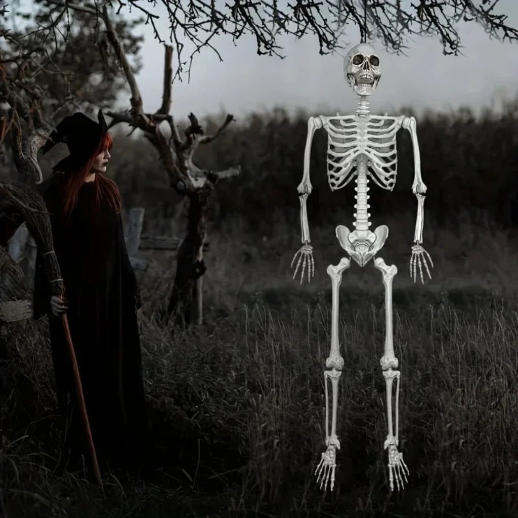 Halloween Skeleton Decoration Life Size Poseable Articulated Prop for Outdoor Yard and Party Display - Image 3