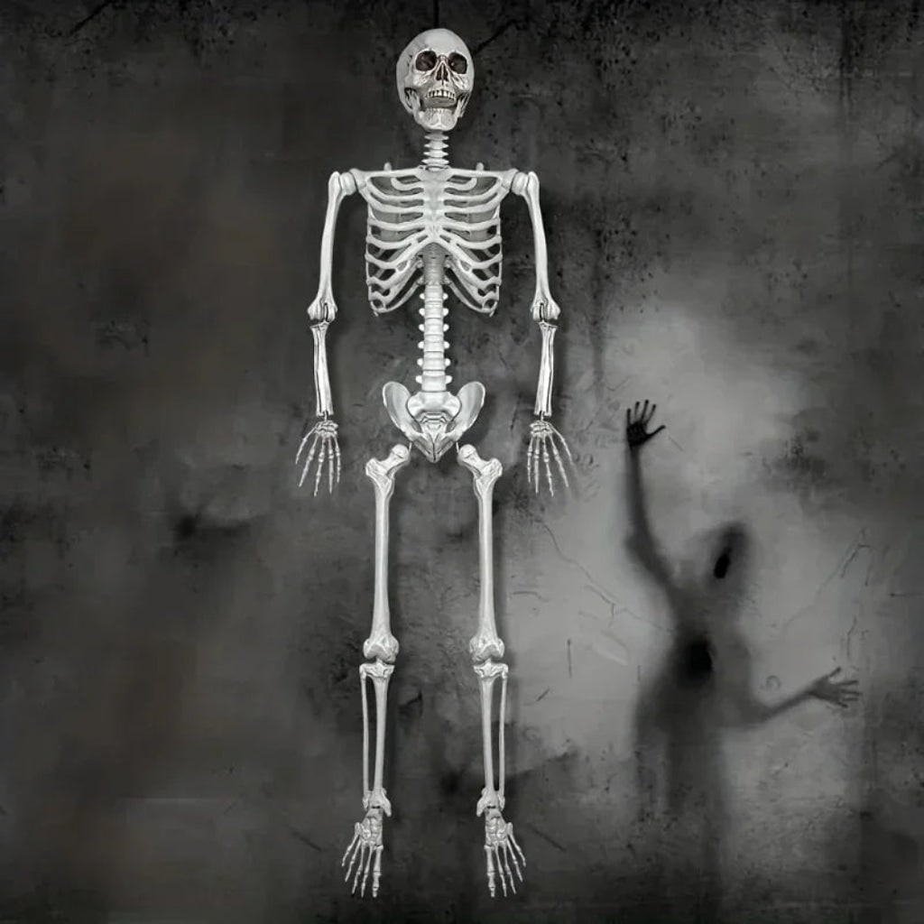 Halloween Skeleton Decoration Life Size Poseable Articulated Prop for Outdoor Yard and Party Display - Image 4