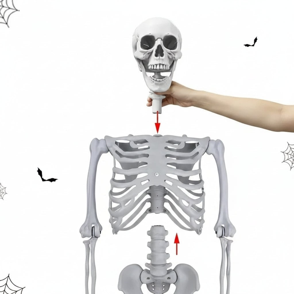 Halloween Skeleton Decoration Life Size Poseable Articulated Prop for Outdoor Yard and Party Display - Image 5