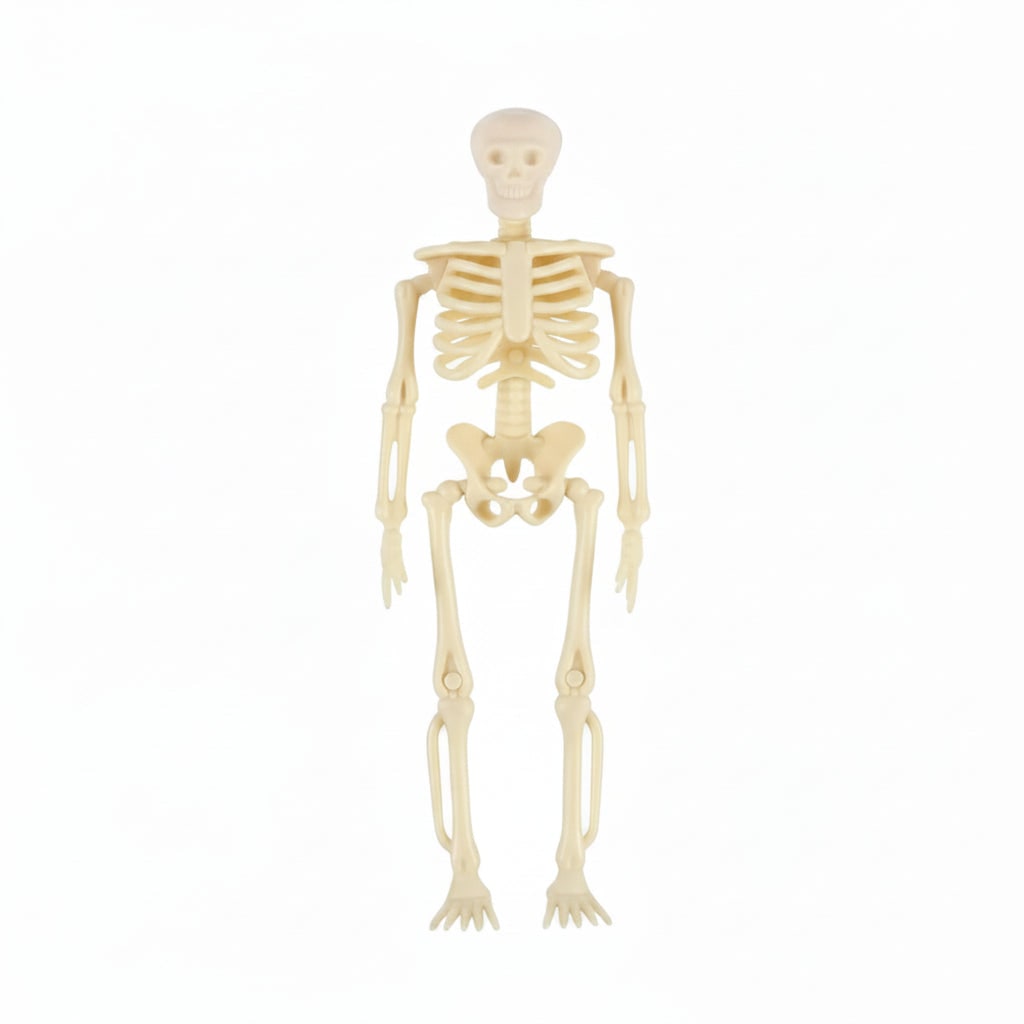 Halloween Skeleton Decorations Mini Plastic Posable Figurines with Jute Twine for Party and Haunted - Image 4