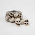 Halloween Skull Props and Sugar Decorations Set of 10 Mini Plastic for Party - Image 1