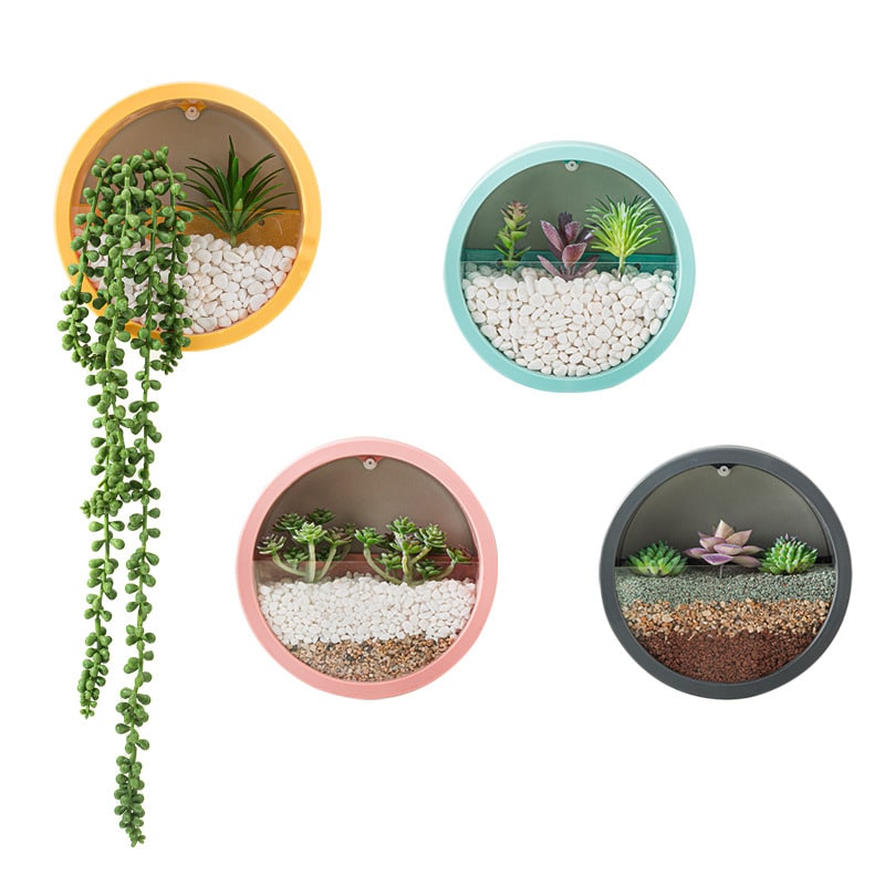 Hanging Wall Planter with Clear Front Panel for Succulents and Indoor Plants Vertical - Image 1