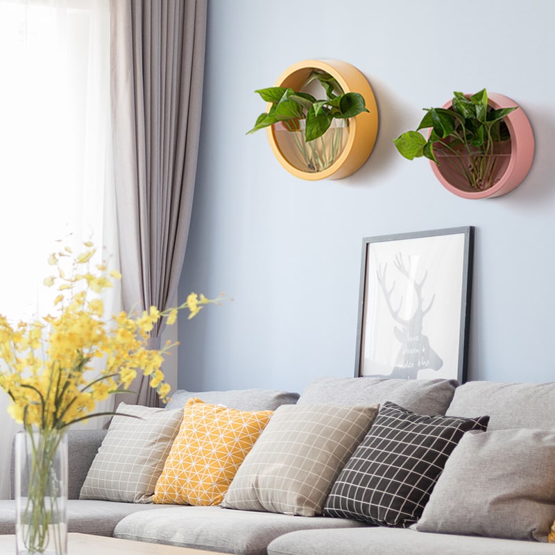 Hanging Wall Planter with Clear Front Panel for Succulents and Indoor Plants Vertical - Image 13