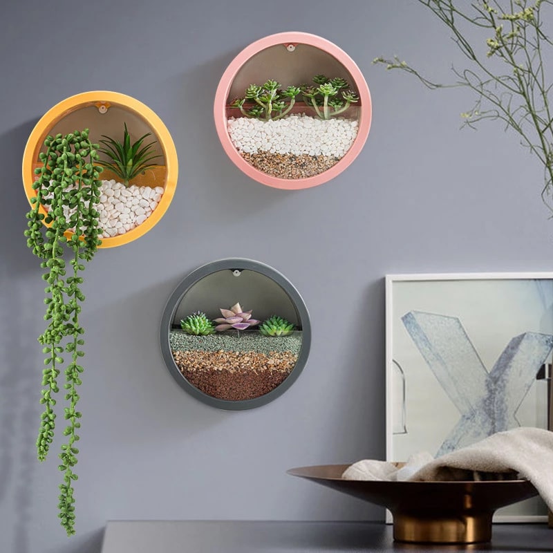 Hanging Wall Planter with Clear Front Panel for Succulents and Indoor Plants Vertical - Image 14