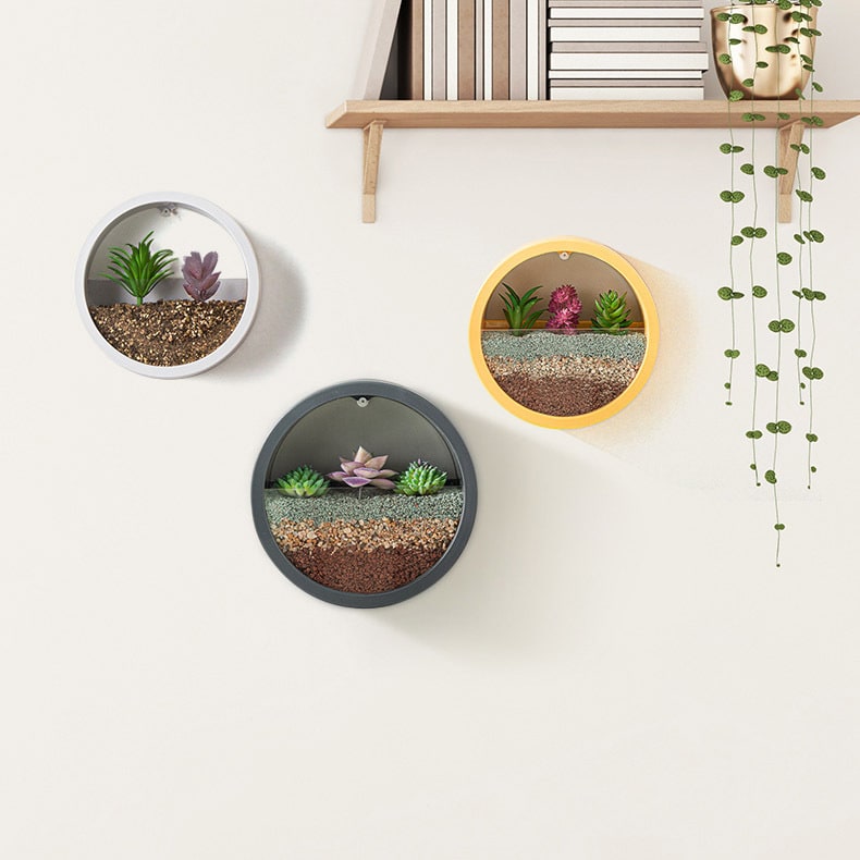 Hanging Wall Planter with Clear Front Panel for Succulents and Indoor Plants Vertical - Image 15