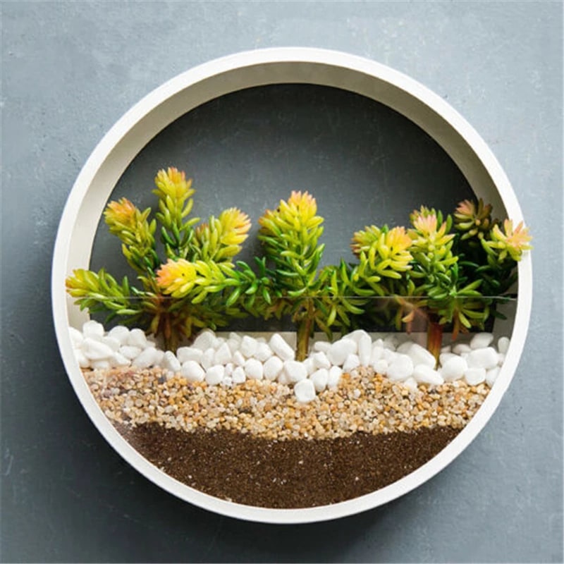 Hanging Wall Planter with Clear Front Panel for Succulents and Indoor Plants Vertical - Image 2