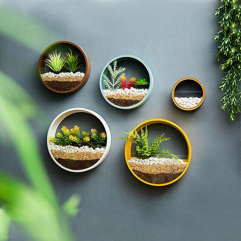 Hanging Wall Planter with Clear Front Panel for Succulents and Indoor Plants Vertical - Image 5