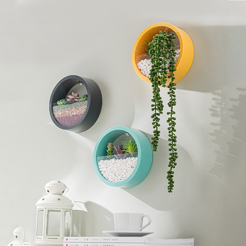 Hanging Wall Planter with Clear Front Panel for Succulents and Indoor Plants Vertical - Image 8