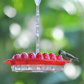 Hummingbird Feeder Hanging Plastic Outdoor Multiple Ports Perch Nectar - Image 1