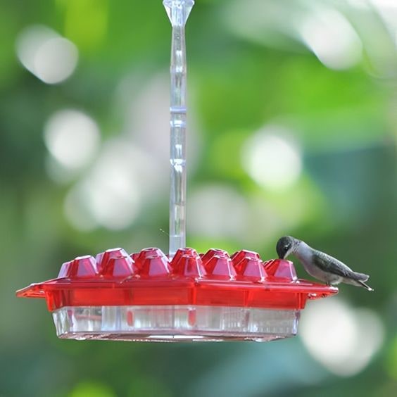 Hummingbird Feeder Hanging Plastic Outdoor Multiple Ports Perch Nectar - Image 1