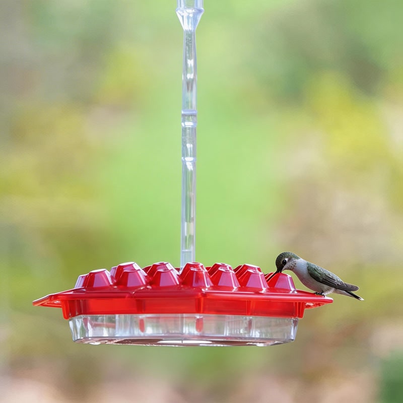 Hummingbird Feeder with Clear Reservoir and Raised Diamond Ports for Homemade Nectar - Image 1