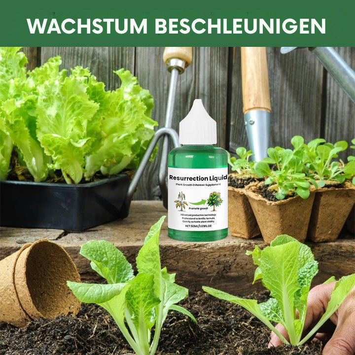 Indoor Plant Liquid Fertilizer with Rose Food and Supplement in Dropper Bottle for House - Image 1