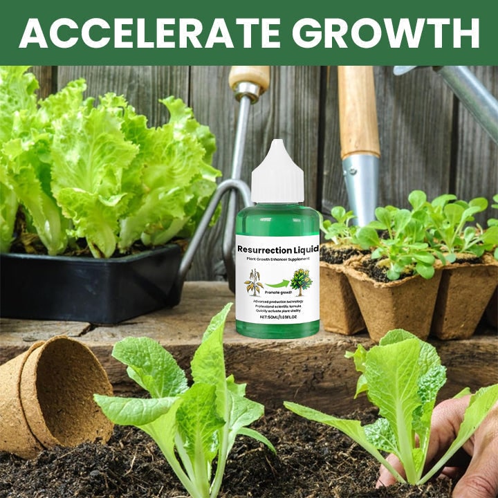 Indoor Plant Liquid Fertilizer with Rose Food and Supplement in Dropper Bottle for House - Image 3