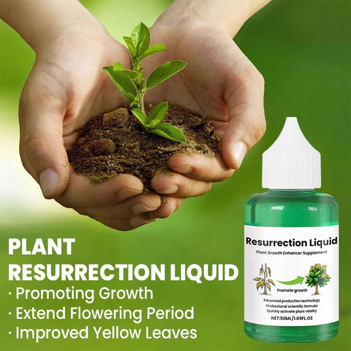 Indoor Plant Liquid Fertilizer with Rose Food and Supplement in Dropper Bottle for House - Image 4