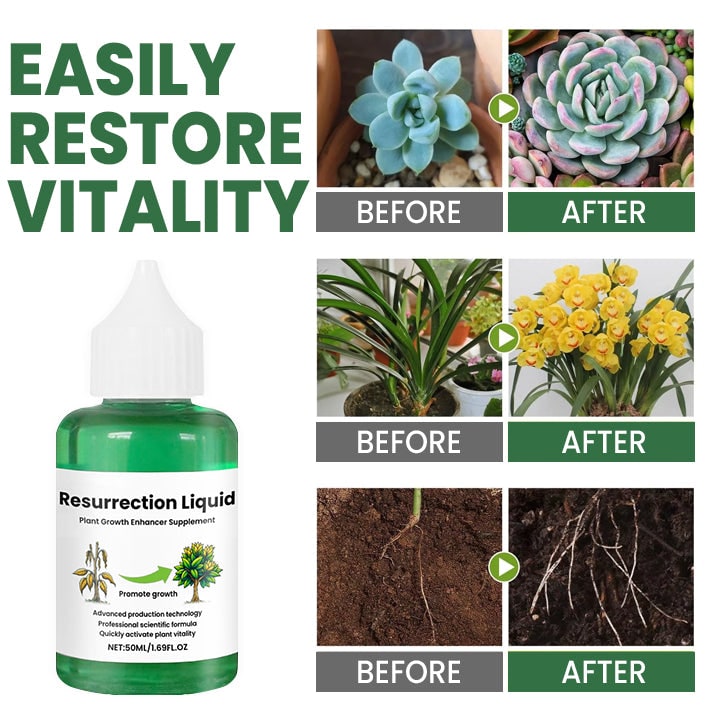 Indoor Plant Liquid Fertilizer with Rose Food and Supplement in Dropper Bottle for House - Image 5