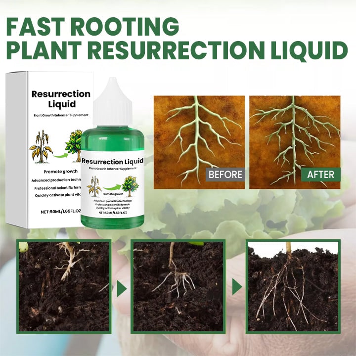 Indoor Plant Liquid Fertilizer with Rose Food and Supplement in Dropper Bottle for House - Image 6