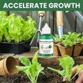 Indoor Plant Liquid Fertilizer with Rose Food and Supplement in Dropper Bottle for House - Image 7