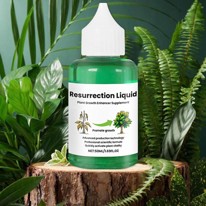 Indoor Plant Liquid Fertilizer with Rose Food and Supplement in Dropper Bottle for House - Image 8
