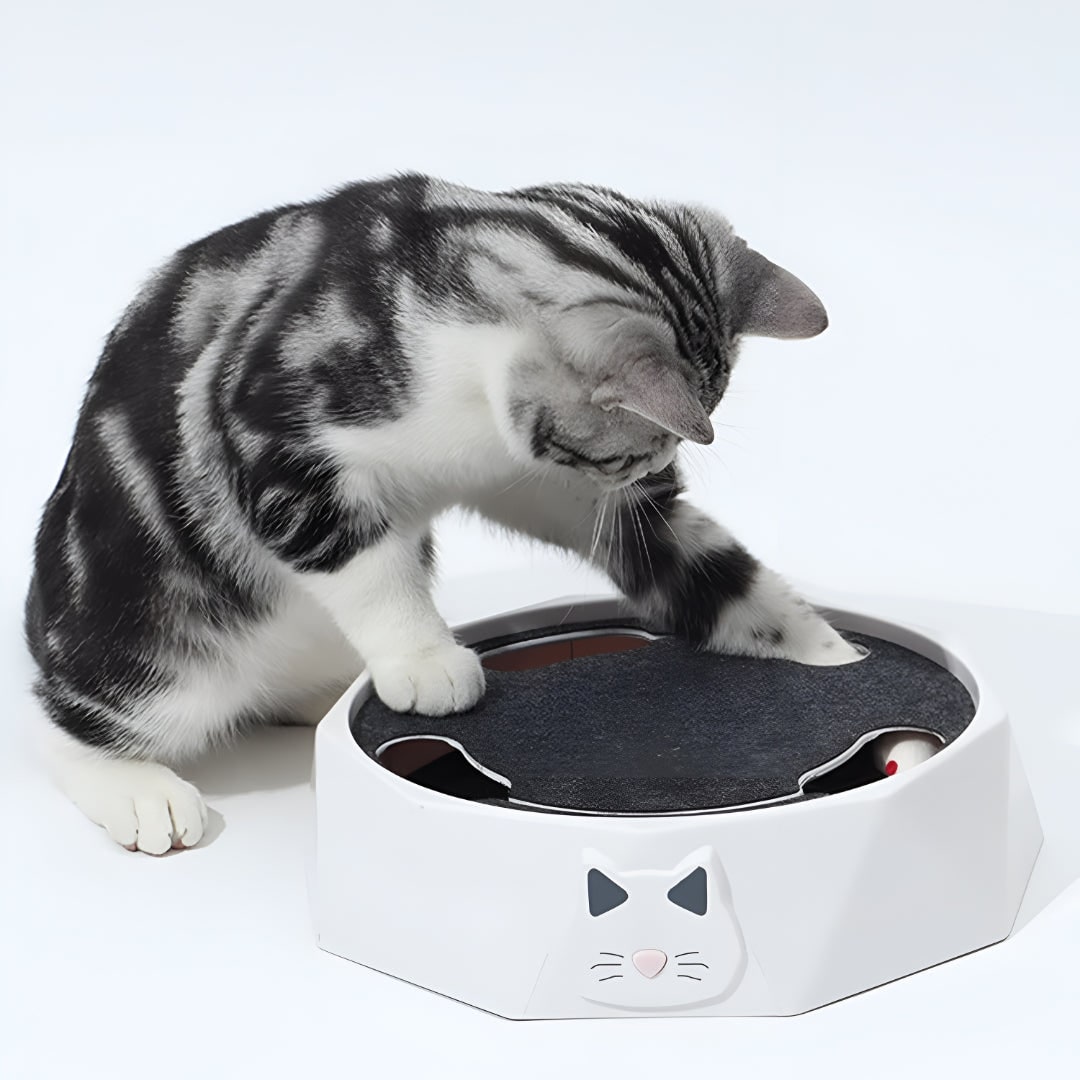 Interactive Cat Toy Motorized Mouse Scratcher Moving Track Chase - Image 1