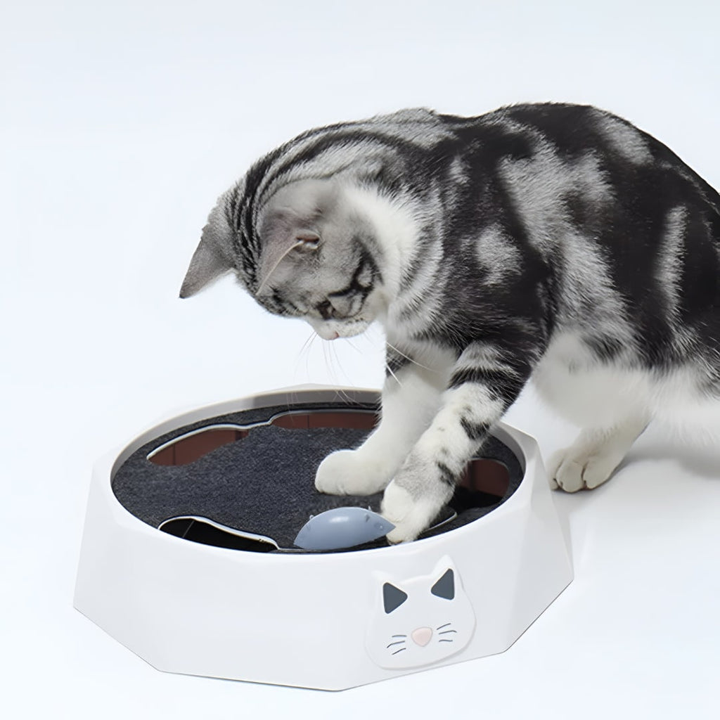 Interactive Cat Toy Motorized Mouse Scratcher Moving Track Chase - Image 2