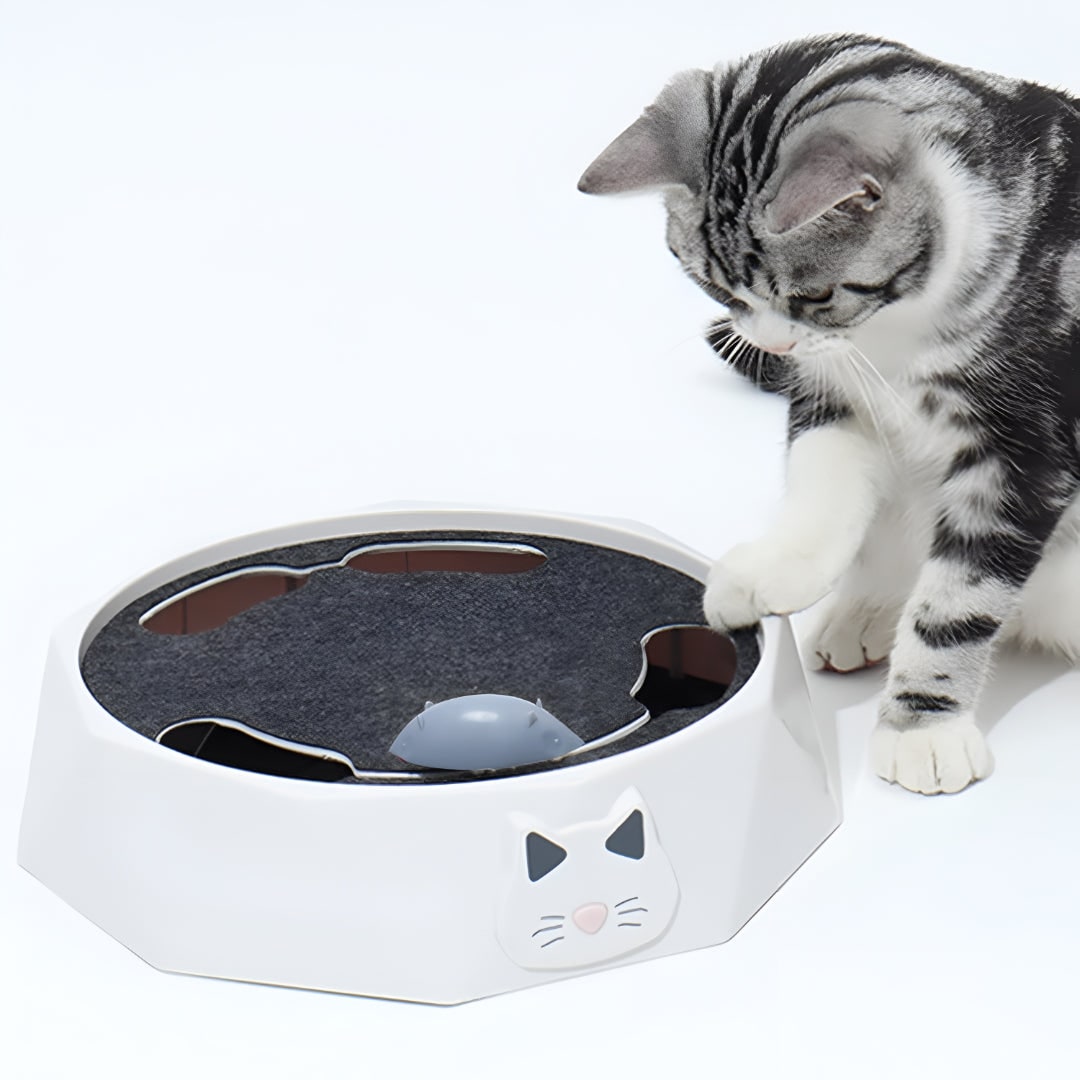 Interactive Cat Toy Motorized Mouse Scratcher Moving Track Chase - Image 3