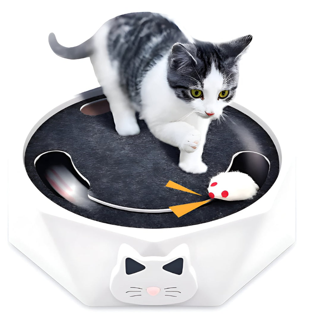 Interactive Cat Toy Motorized Mouse Scratcher Moving Track Chase - Image 4