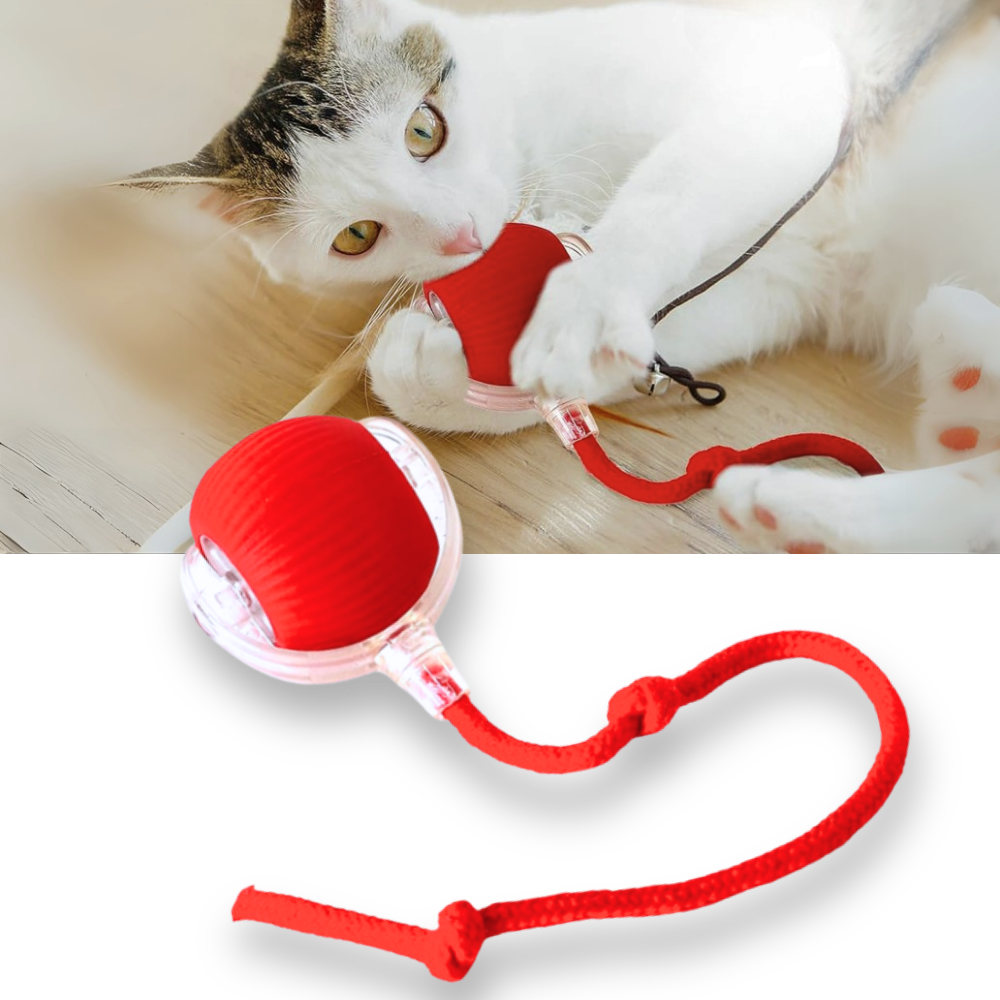 Interactive Cat Toys Ball with Motorized Rolling Motion and Rope Tail - Image 1