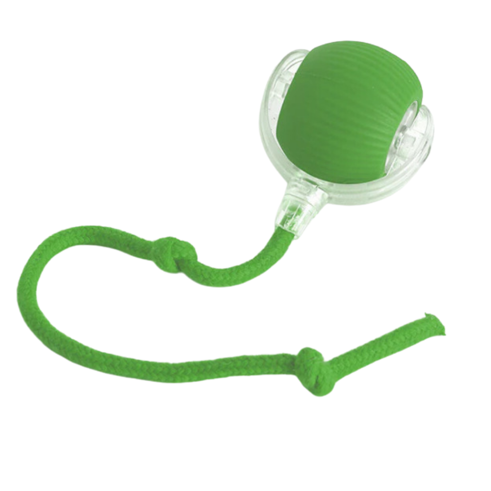 Interactive Cat Toys Ball with Motorized Rolling Motion and Rope Tail - Image 11