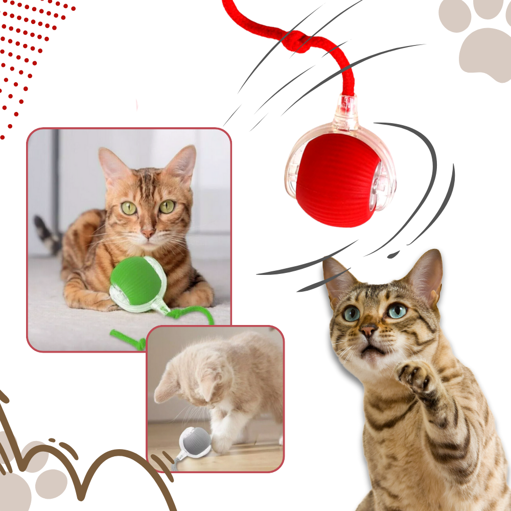 Interactive Cat Toys Ball with Motorized Rolling Motion and Rope Tail - Image 3