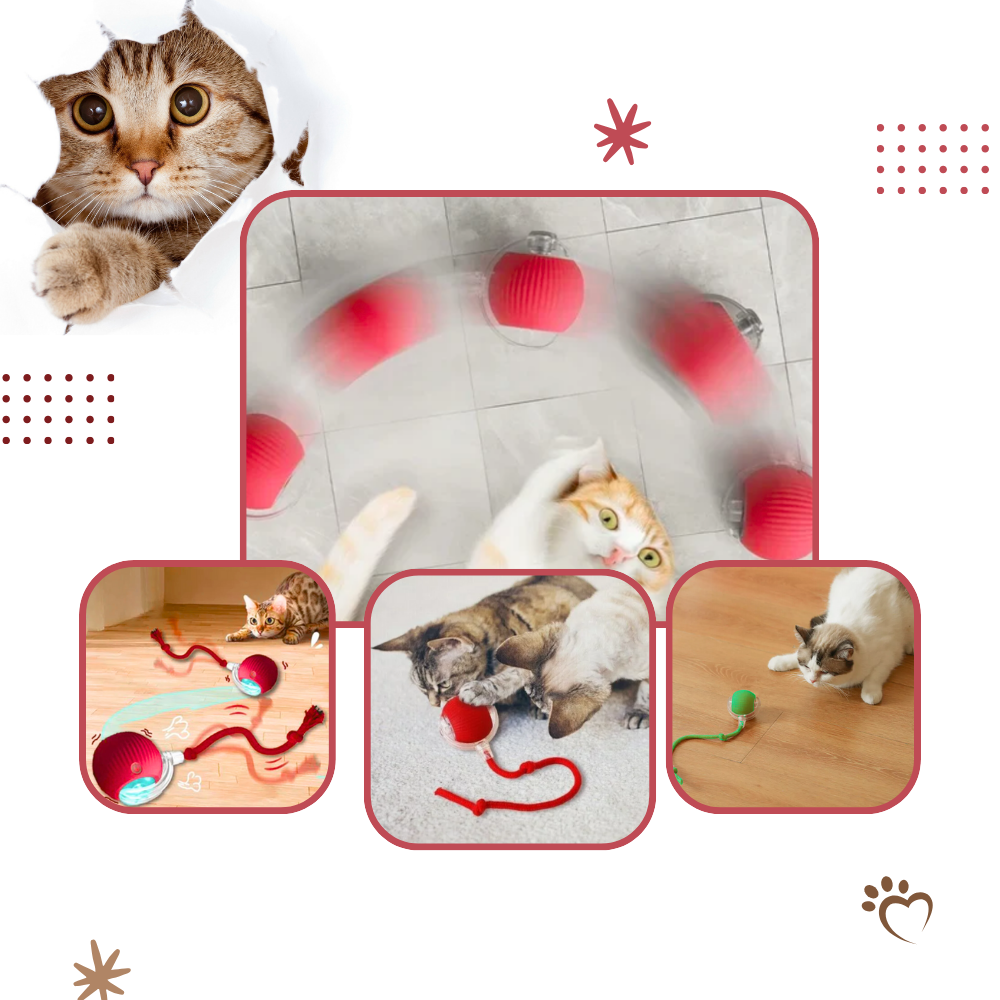 Interactive Cat Toys Ball with Motorized Rolling Motion and Rope Tail - Image 4