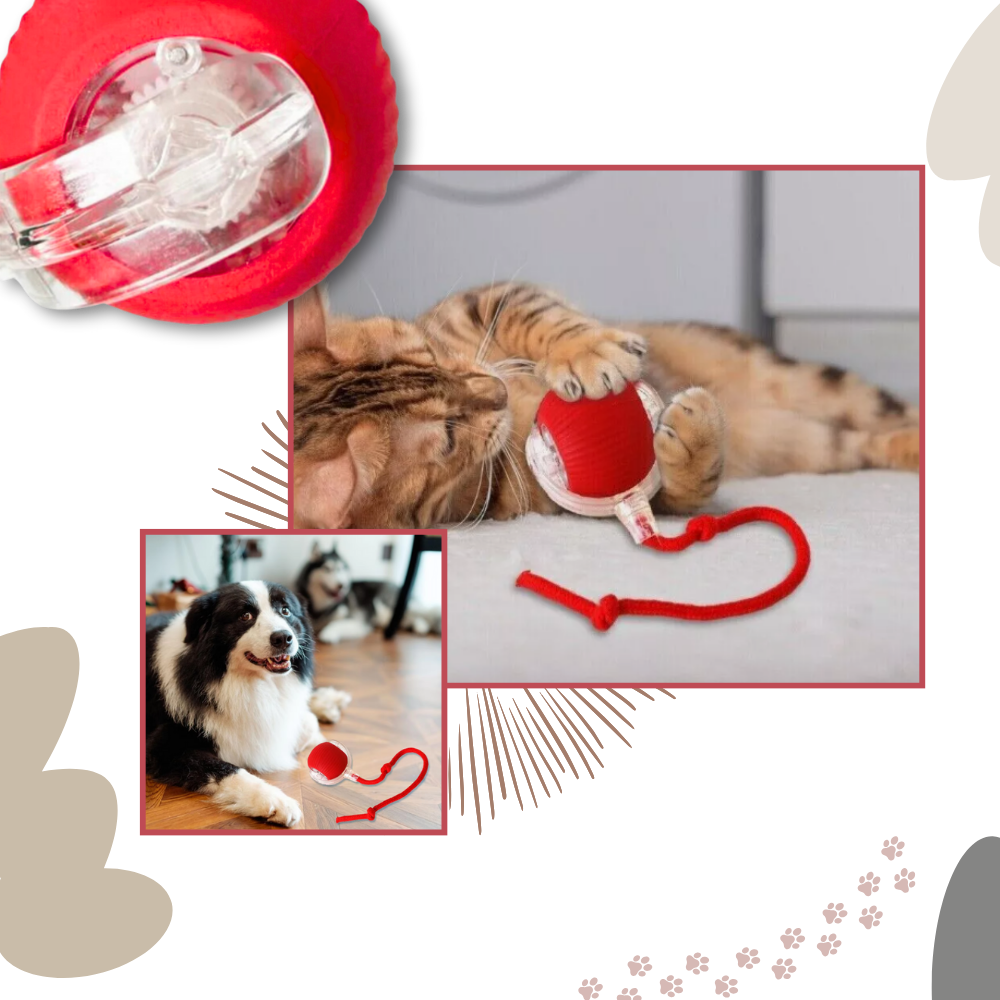 Interactive Cat Toys Ball with Motorized Rolling Motion and Rope Tail - Image 5