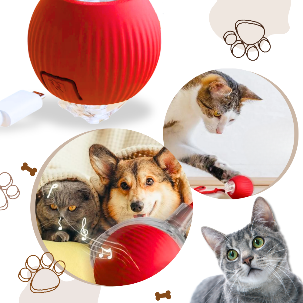 Interactive Cat Toys Ball with Motorized Rolling Motion and Rope Tail - Image 6