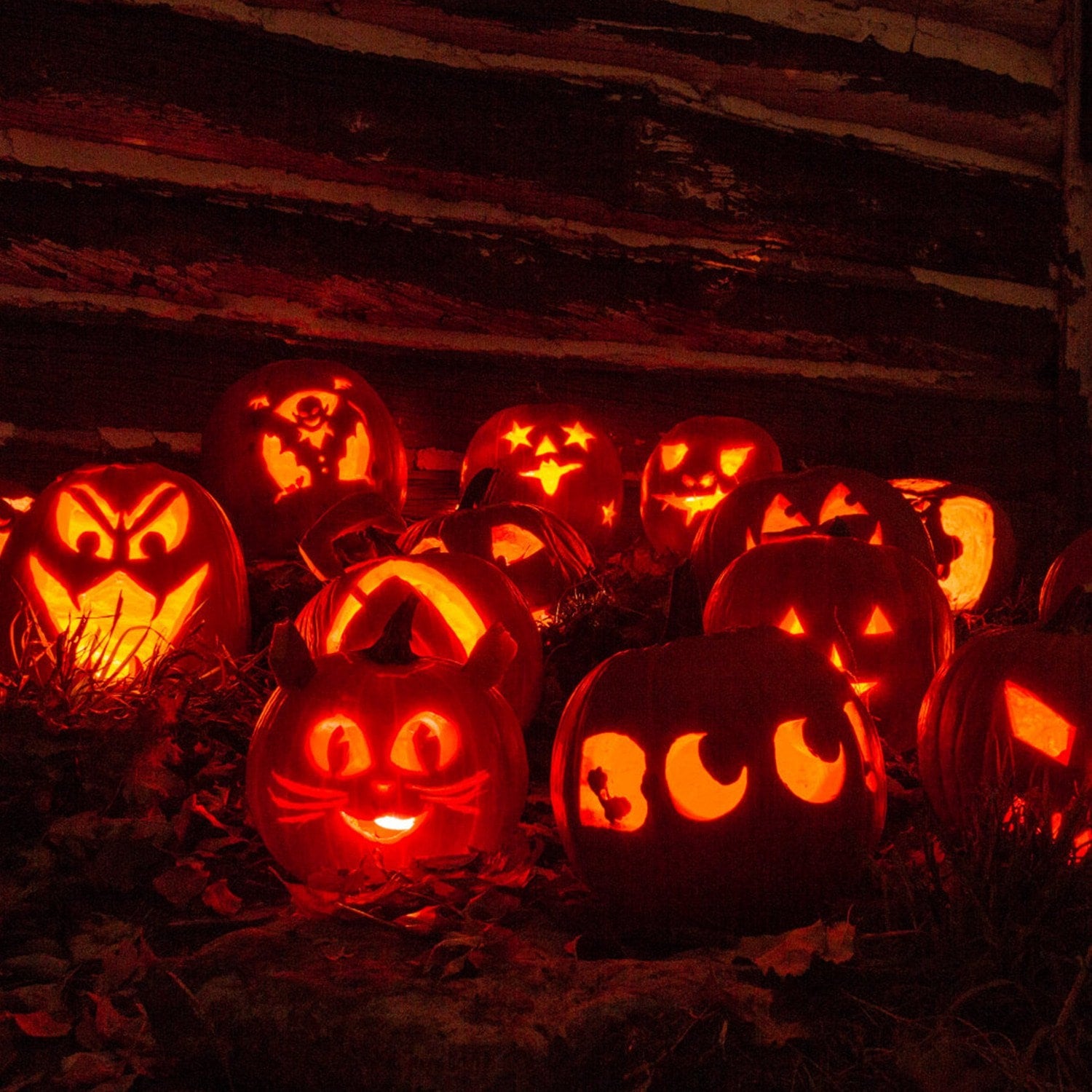 Kids' Halloween Pumpkin Carving Kit and Tools with Stainless Steel Saws and Sculpting for Supplies - Image 8