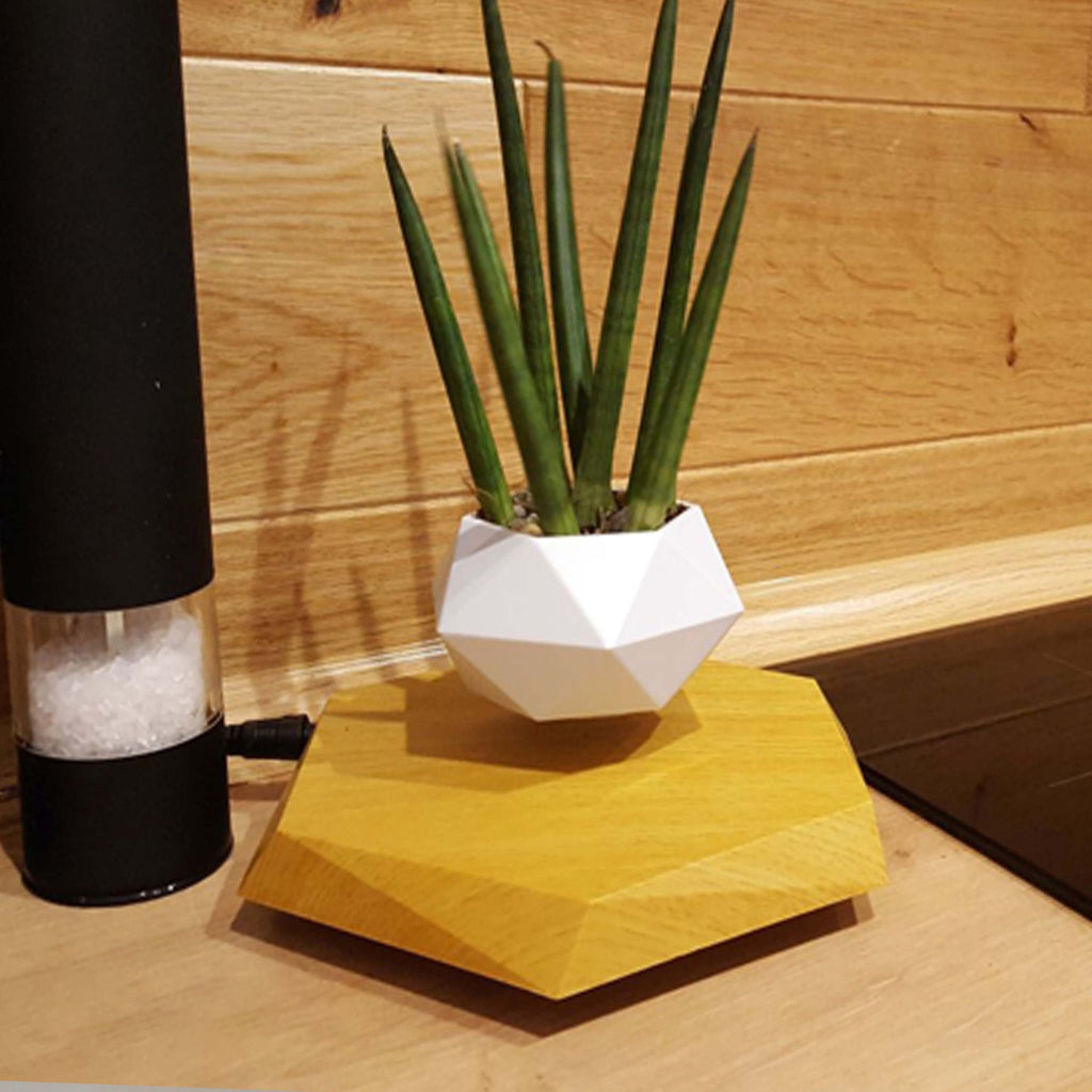 Levitating Flower Pot and Planter with Geometric Hexagonal Base for Indoor Plants - Image 1