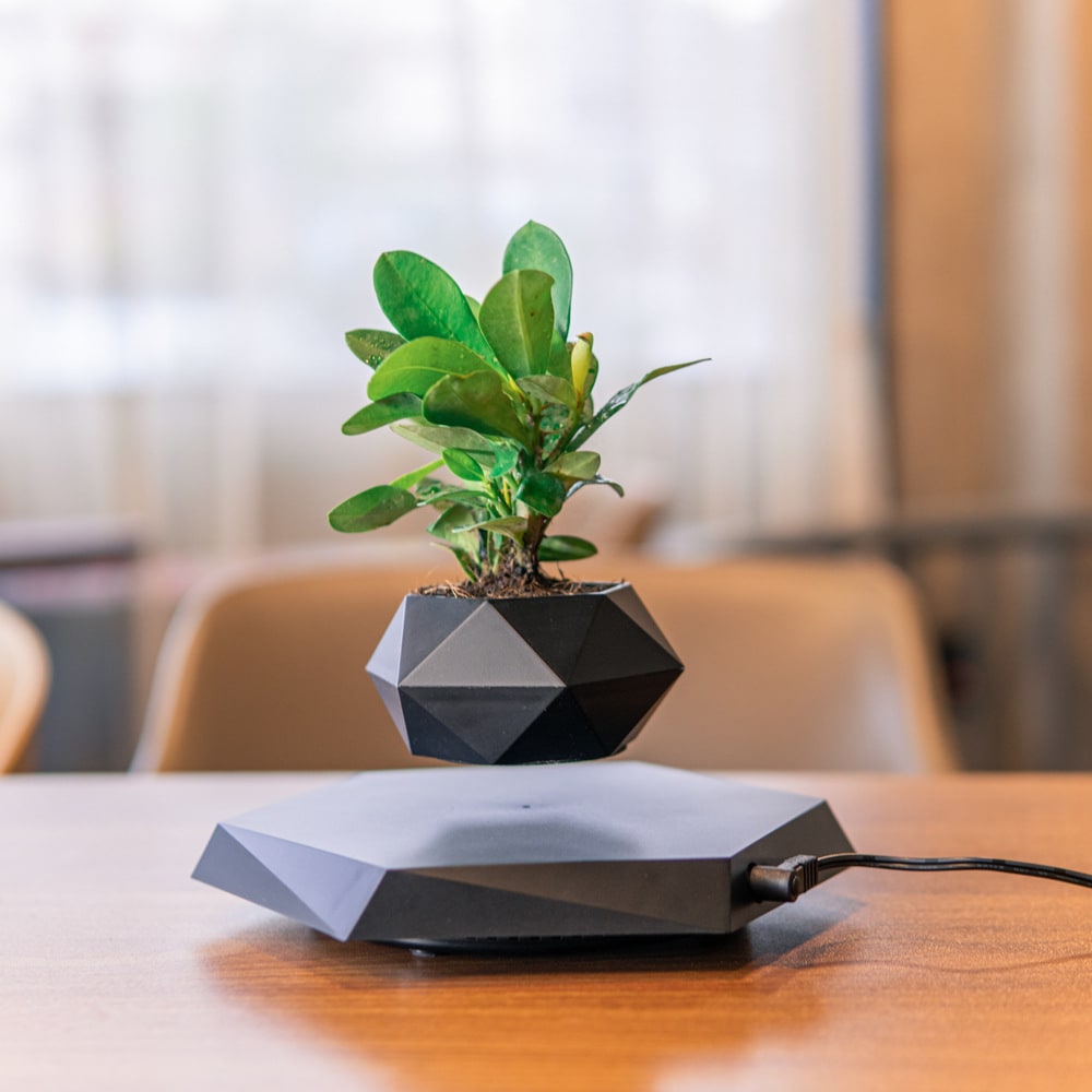 Levitating Flower Pot and Planter with Geometric Hexagonal Base for Indoor Plants - Image 7