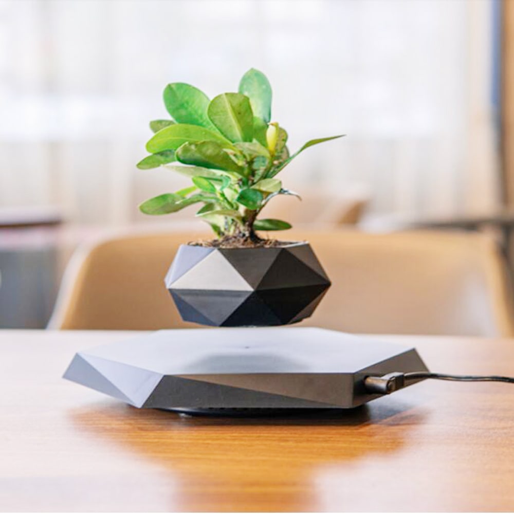 Levitating Flower Pot and Planter with Geometric Hexagonal Base for Indoor Plants - Image 8