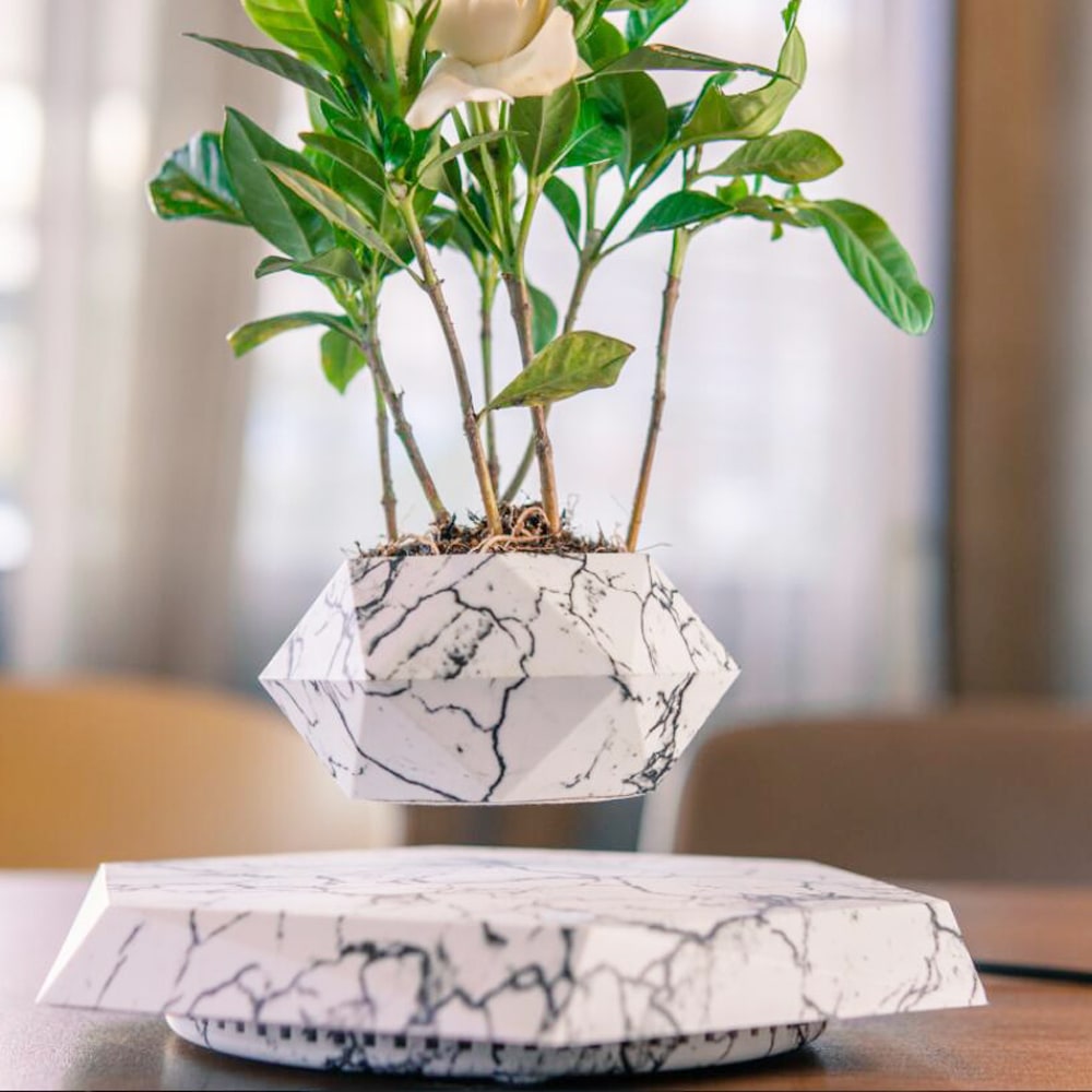 Levitating Flower Pot and Planter with Geometric Hexagonal Base for Indoor Plants - Image 9
