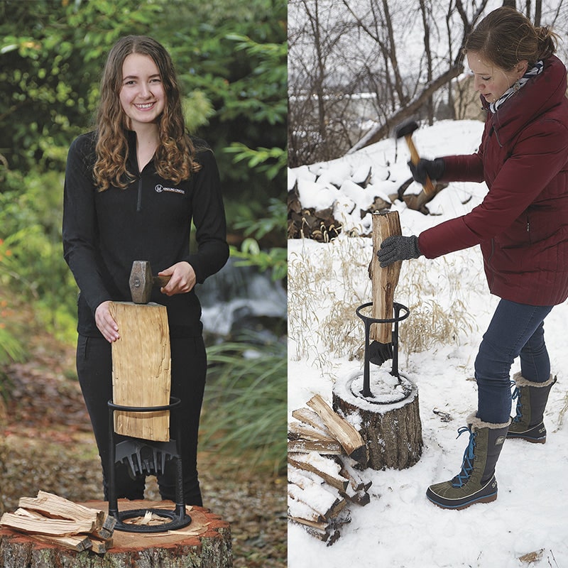 Manual Cast Iron Log Splitter with Safety Ring and Stump Mount - Image 5