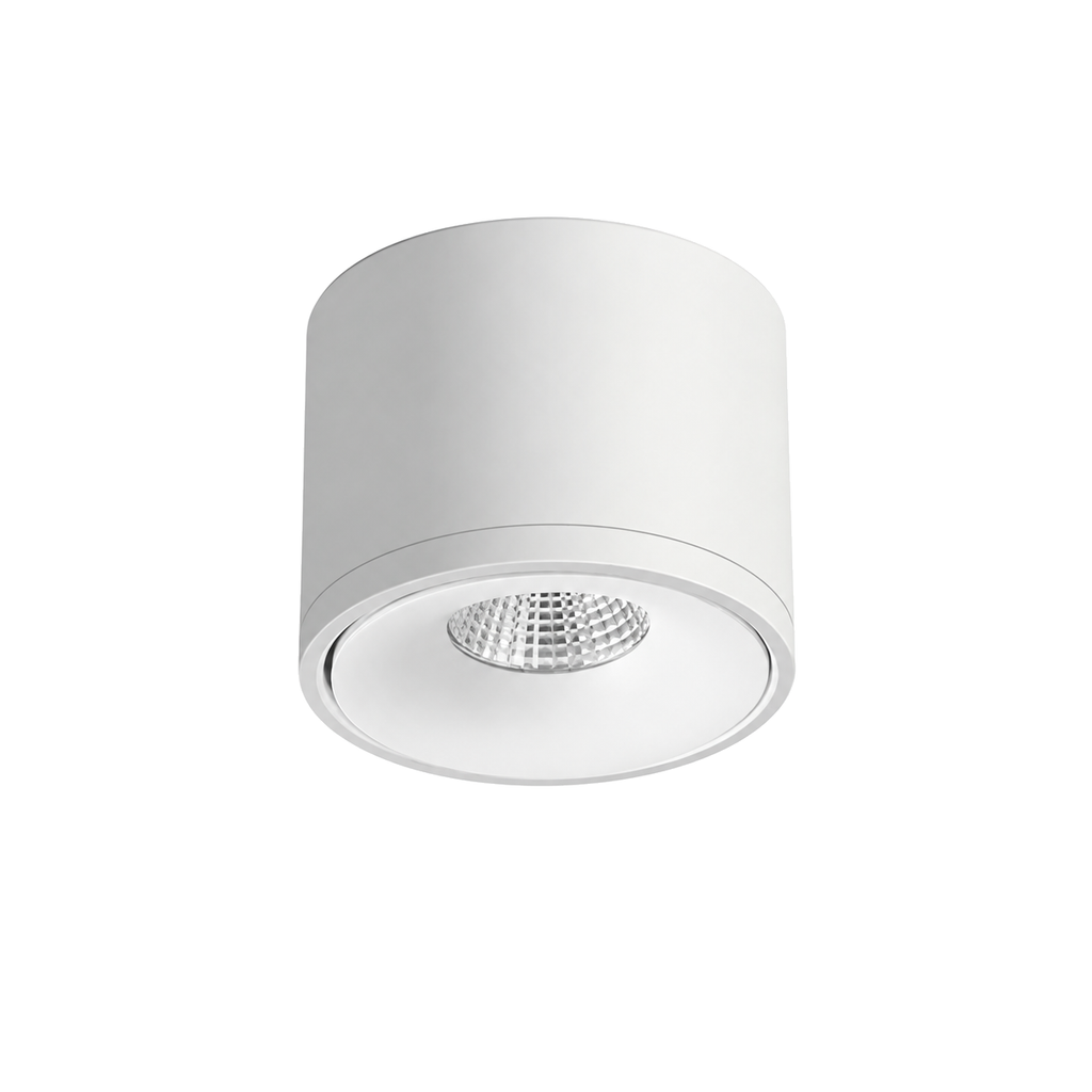 Ceiling Mounted Directional Spotlight Rotatable Modern Light
