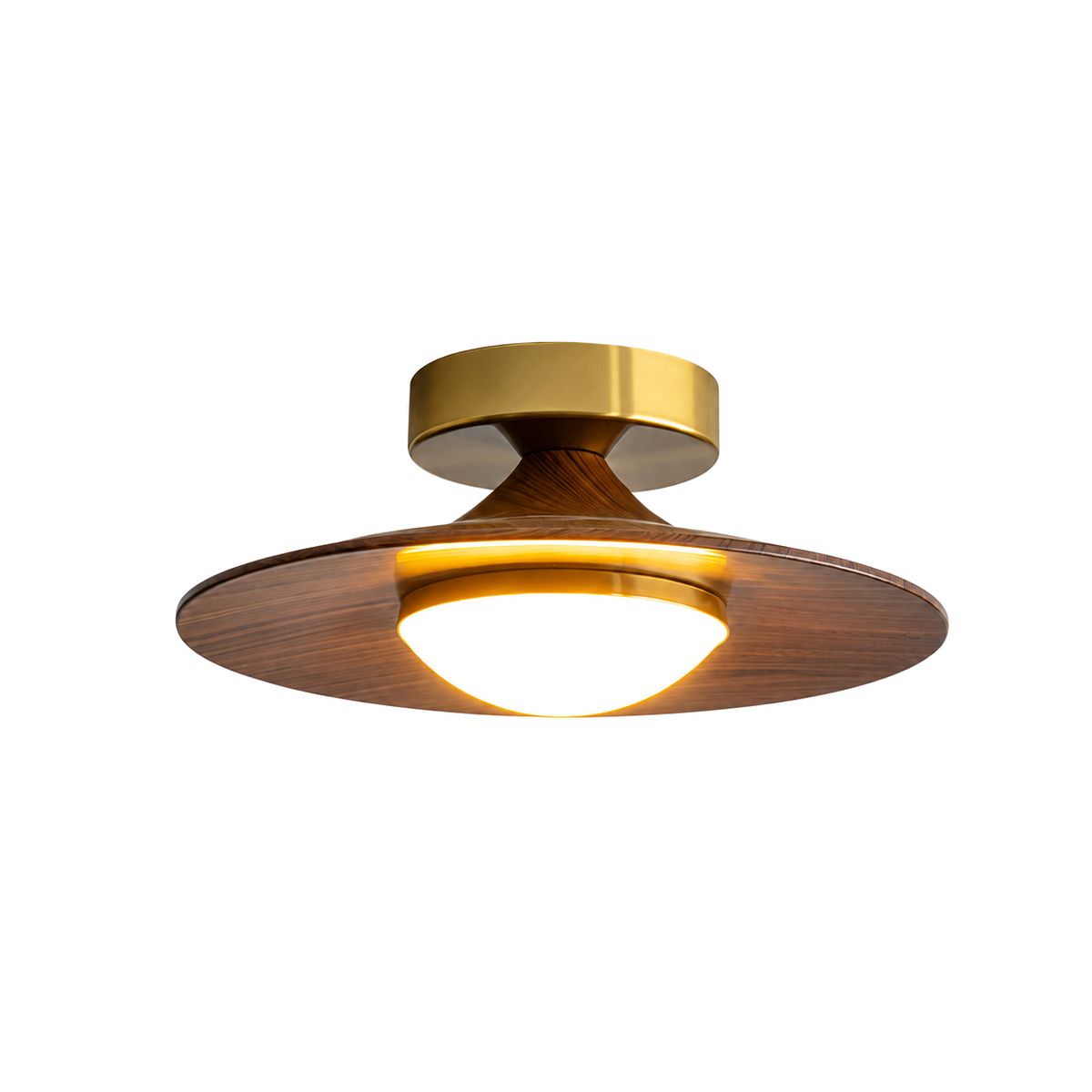 Contemporary LED Ceiling Light Compact Flush Mount Design