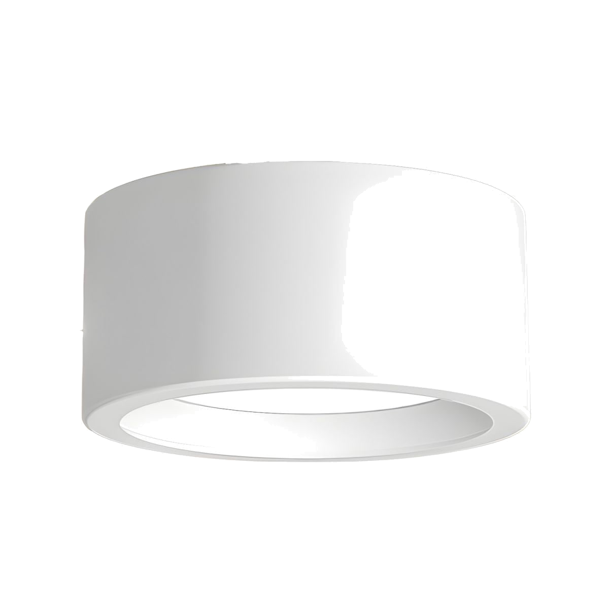 Flush Mount Cylinder LED Ceiling Light with Modern Design and Energy Efficient Lighting