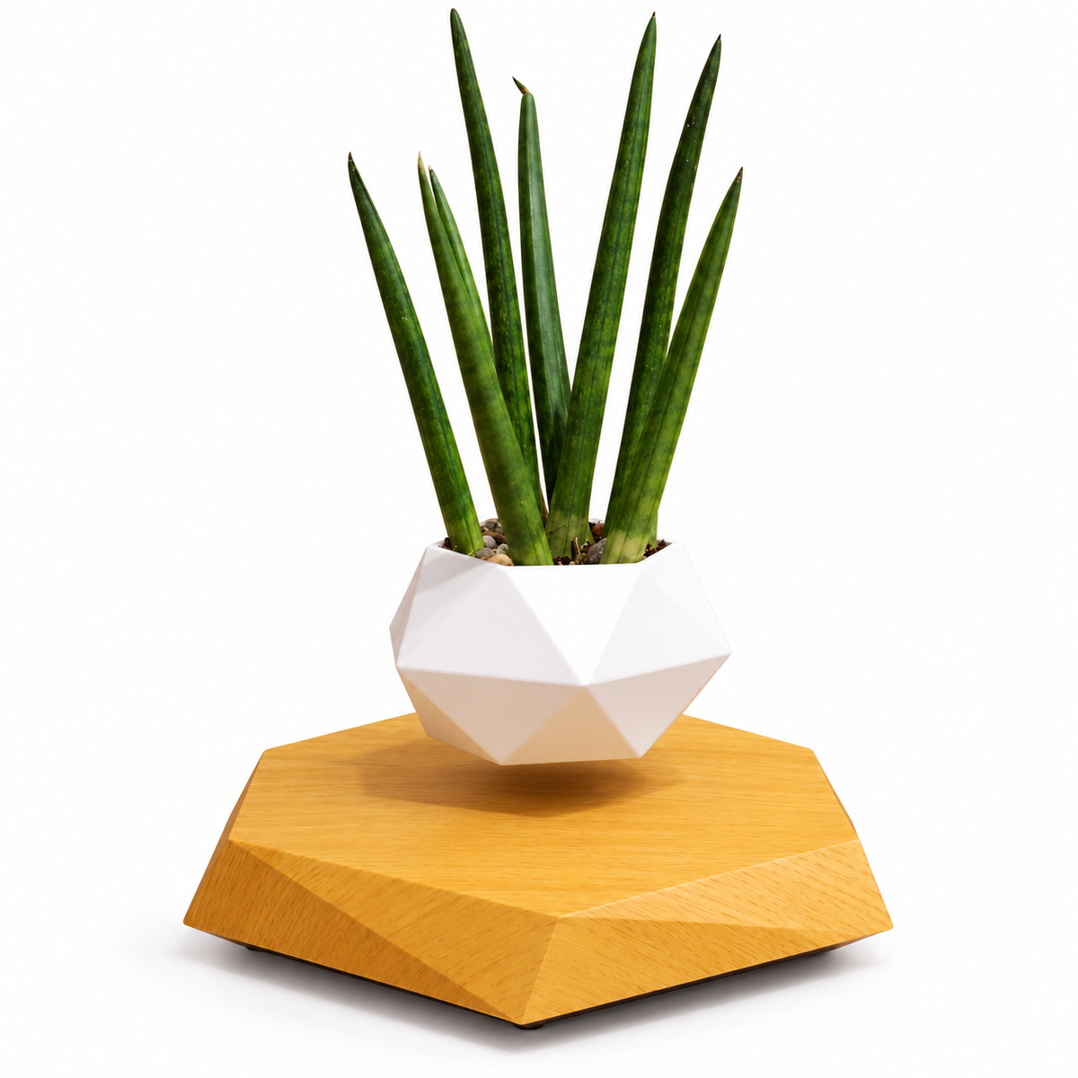 Levitating Flower Pot and Planter with Geometric Hexagonal Base for Indoor Plants