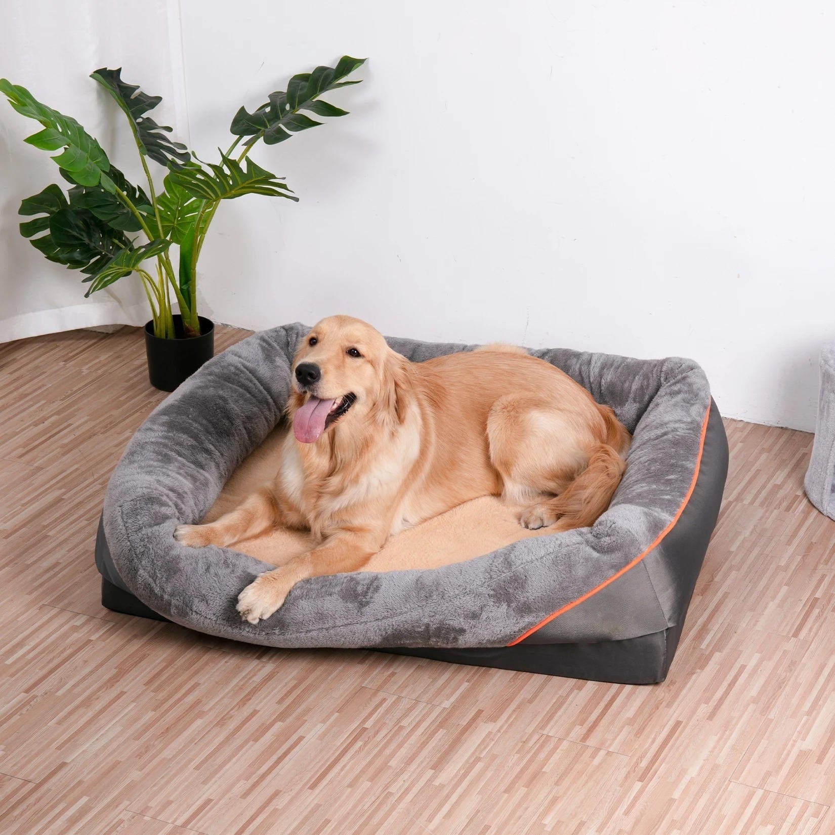 Orthopedic Dog Bed with Bolster Washable Memory Foam Cover and Raised Edges X Large - Image 1